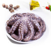 Pulpo en flor - 5 Océanos