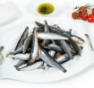 Sardinas - 5 Océanos