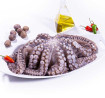 Pulpo nº 0 (bandeja de 3/4kg) - 5 Océanos