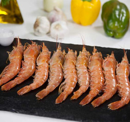 Langostino Austral nº 2...