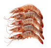 Langostino nº 2 salvaje (20/30 pzs/kg) - 5 Océanos