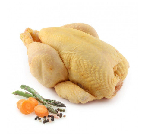 Pollo limpio Amarillo (1,4 a 1,7kg)