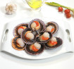 Vieira del Pacífico media concha (20/30 uds/kg) - 5 Océanos