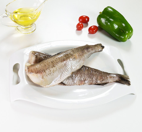 Pion de altura (Pejerrey plateado)