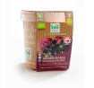 Acai Tub Sorbete Ecológico Biopop (tarrina 480 ml) - 5 Océanos