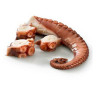 Rejo de Pulpo