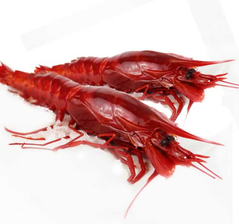 Carabineros 8/12 piezas/kg