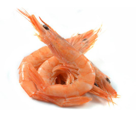 Gamba Griega Nº3 (130/165...