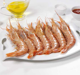 Langostino Austral nº1...