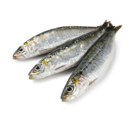 Sardina Gallega (12/16 pzs/kg)