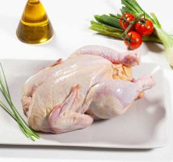 Pollo entero de 1.1 kg