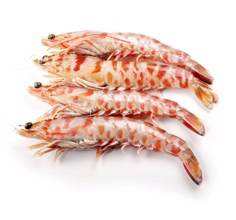 Langostino Tigre M 40/60