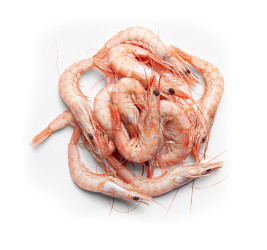 Gamba blanca cruda Nº4