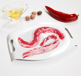 Lagartito Ibérico