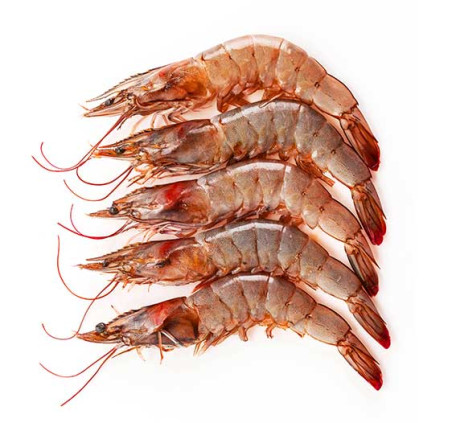 Langostino nº 2 salvaje (20/30 piezas/kg)