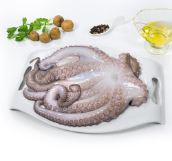 Pulpo nº3 (bandeja de 0,500g a 1 kg aprox)