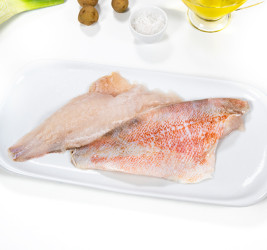 Filete de Cantarero (Gallineta Nórdica) C/P