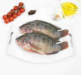 Tilapia entera eviscerada