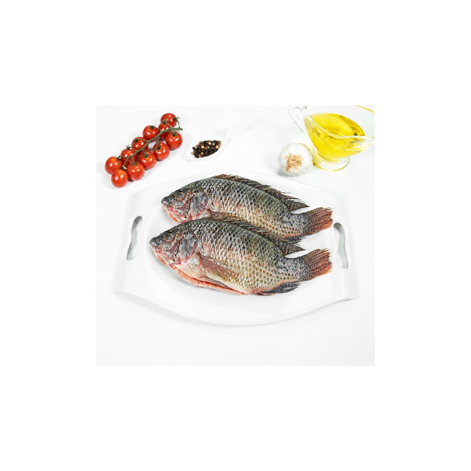 Tilapia entera eviscerada