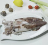 Calamar Sahariano pequeño